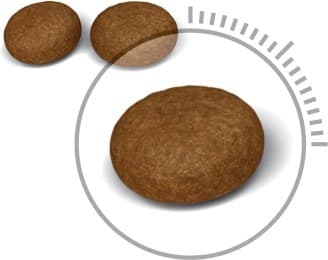 Beaphar rentouttava kaulapanta koirille - 65 cm