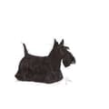 Miniatyrbillede 2 af 2: ROYAL CANIN Mini Dermacomfort - tørfoder til voksne små hunderacer med følsom hud tilbøjelig til irritation - 3 kg