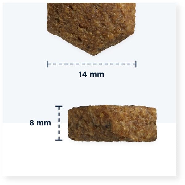 EUKANUBA Adult Small & Medium Lax - torrfoder för hundar - 12 kg