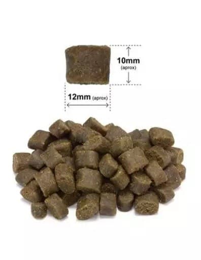 Beaphar rentouttava kaulapanta koirille - 65 cm