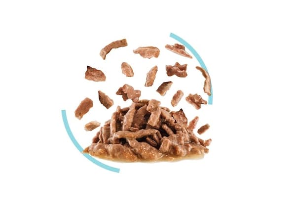 ROYAL CANIN Sensory Feel Märkä kissanruoka palat kastikkeessa 12x85g