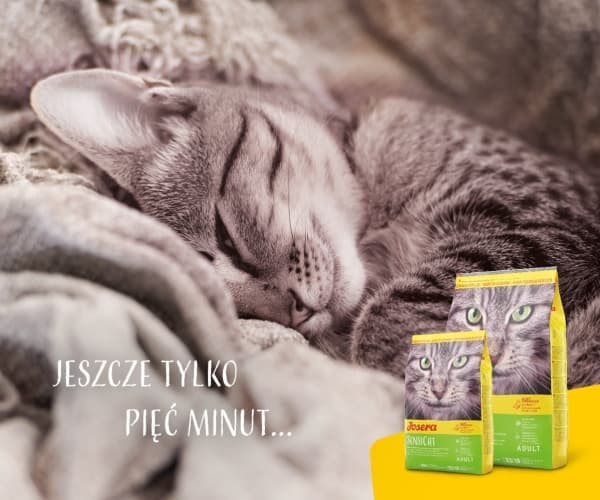 Josera SensiCat, vuxen, lever, 2 kg