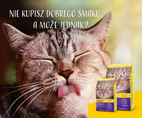 Josera Culinesse, Voksen, Alle hunderaser, Laks, 10 kg