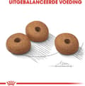 Miniatyrbillede 5 af 9: Royal Canin Ccn Light Weight Care Mini - Hundefoder - 3 kg