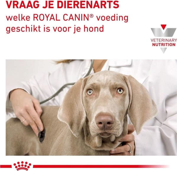 Royal Canin Renal Special - Koiranruoka - 2 kg