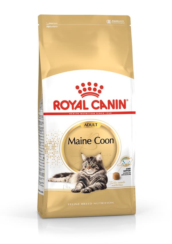 Royal Canin FBN Maine Coon Adult - torrfoder för vuxna katter - 4 kg