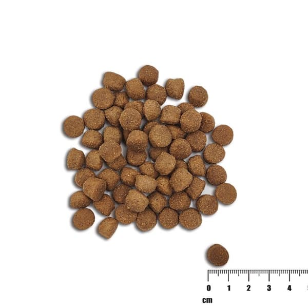 VET EXPERT Rå Paleo Sundt Korn Hvalpe Laks og Byg - tørfoder til hunde - 10 kg