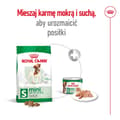 Miniatyrbillede 2 af 3: ROYAL CANIN Adult Mini S - tørfoder til hunde - 4 kg