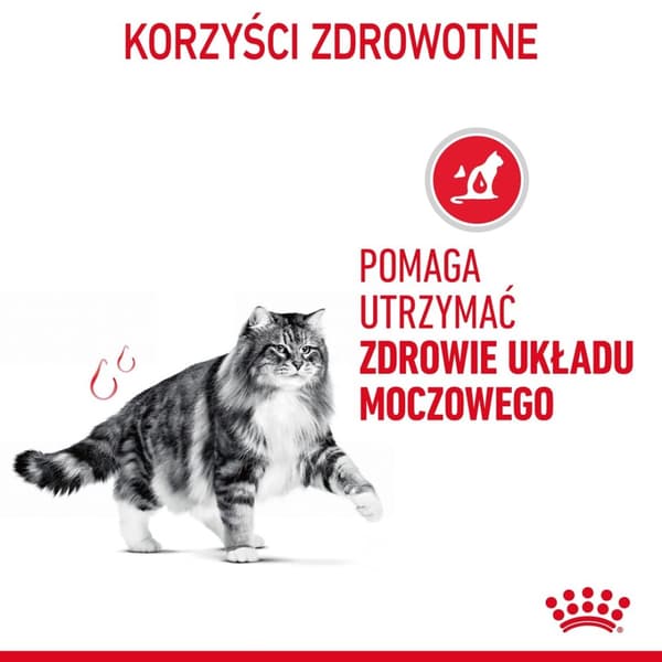 Royal Canin Urinary Care torrfoder för katter 10 kg