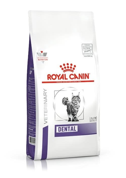 ROYAL CANIN Dental - kuiva kissanruoka - 1,5 kg
