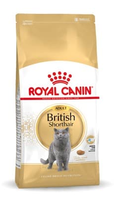 Royal Canin FBN British Shorthair Adult - tørfoder til katte - 10 kg