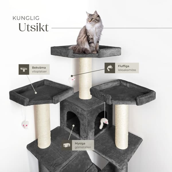 Klösträd katt Knuti - antracit
