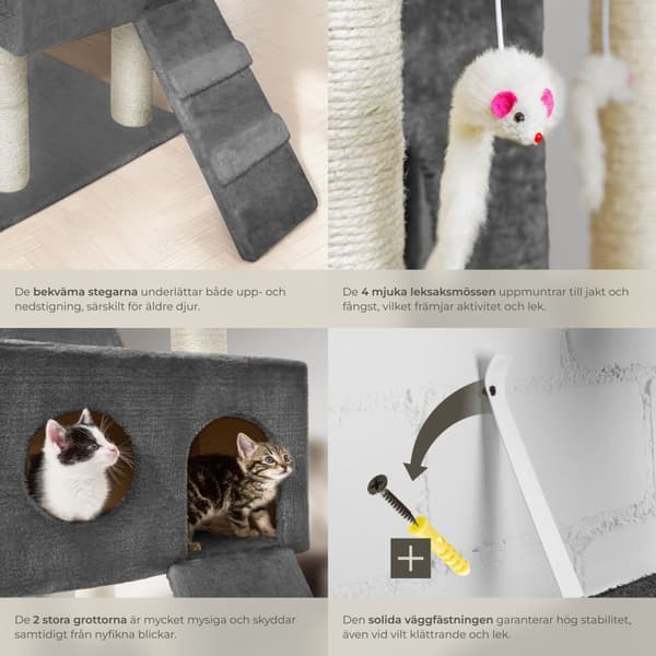 Klösträd katt Knuti - antracit
