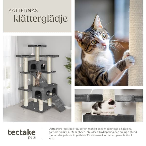 Klösträd katt Knuti - antracit