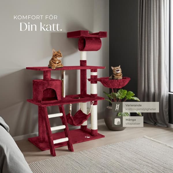 Katt klösträd, Martin - vinröd