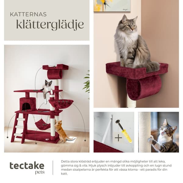 Katt klösträd, Martin - vinröd