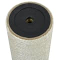 Miniatyrbillede 2 af 2: vidaXL kradsetræ til katte 8 x 35 cm 10 mm beige