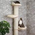 Miniatyrbild 3 av 7: Kerbl Katt Klösträd Dolomit Tower 187 cm beige