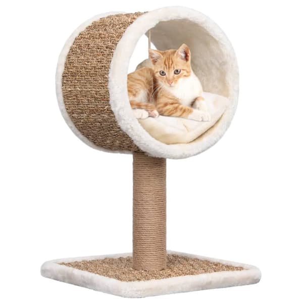 vidaXL Kattmöbel med tunnel och leksak 56 cm sjögräs