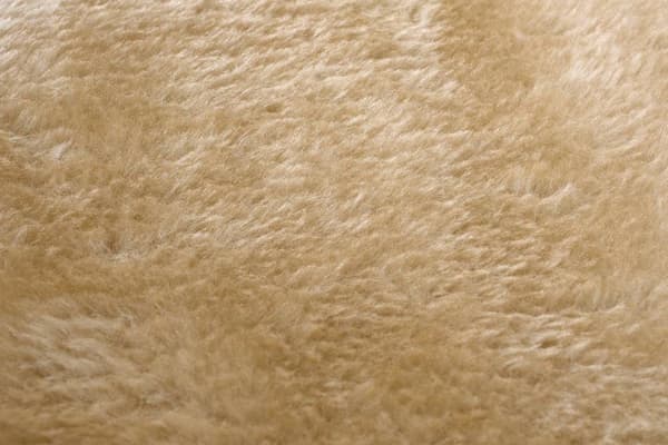 Kattekradse træ XXL 170 x 49 x 49 cm beige