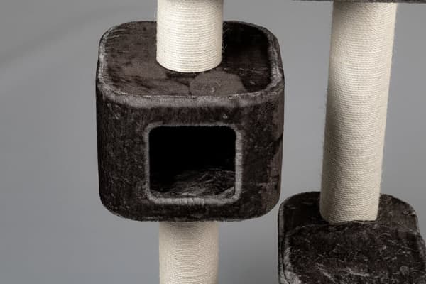 Devon Rex Beige – 120cm 30kg 15cm Ø pylväät – Koko 120x70x50cm – Kiipeily- Ja Raapimispuu Isoille Kissoille – Laadukas RHRQuality®-tuote