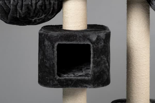 Devon Rex – 120cm 30kg 15cm Ø pylväät – Koko 120x70x50cm – Kiipeily- Ja Raapimispuu Isoille Kissoille – Laadukas RHRQuality®-tuote