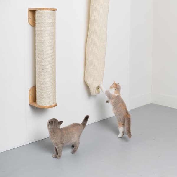 RHRQuality Cat wall - Klätter- och klättringsväska (Cream)