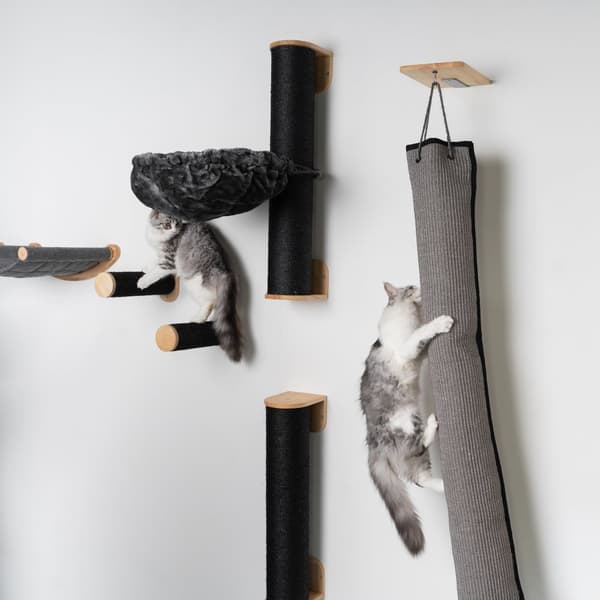 RHRQuality Cat wall - Klätter- och klättringsväska ( Blackline )