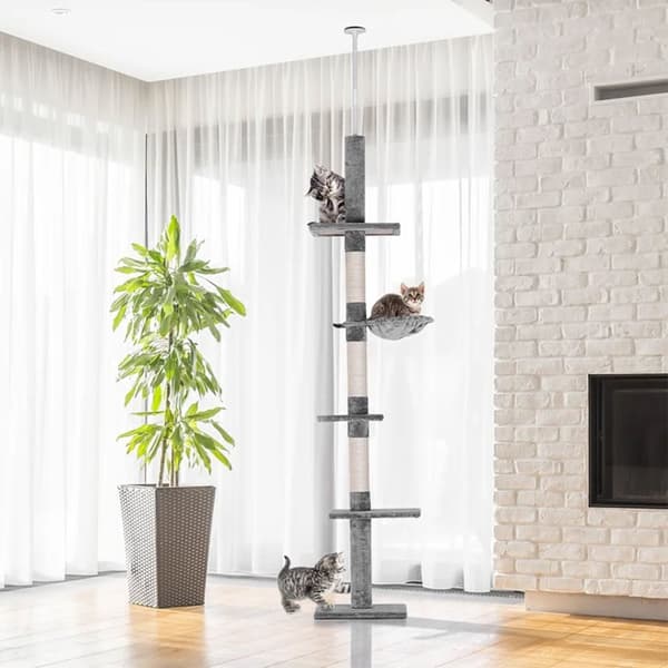 HARMAAT RÄYSTÄÄT KISSOILLE 331669