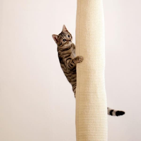 Kerbl Klättersäck för katt 240 cm beige