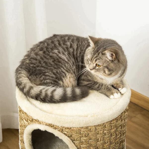 Rootz Cat House - Kattekradsestolpe - Kattetræ - Katteklatretræ Kattemøbler - 37,5 x 37,5 x 70 cm