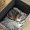 Miniatyrbillede 4 af 5: Rootz Cat Cave - Kattehus - Kattekurv - 2-i-1 Kattehule - Med pude - Træben - Grå - 60 x 45 x 44,5 cm