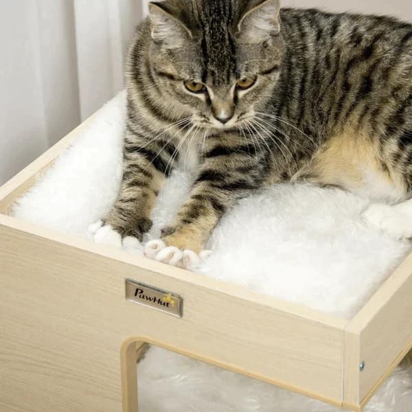 Rootz Cat House - Cat Cave - Cat Bin - 2-vånings Cat Cave - Inkluderar leksak - Natur/Ljusgrå - 34cm x 34cm x 60cm