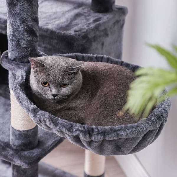 Rootz Cat Tree - Raaputustolppa - 6 tasoa - Riippumatto - Luola - Savunharmaa - 54 x 50 x 168 cm