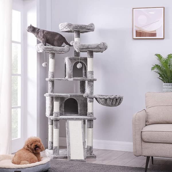 Rootz XL Skrapstolpe för katter - Kattträd - 3 plattformar - Grå - 55 x 55 x 172 cm