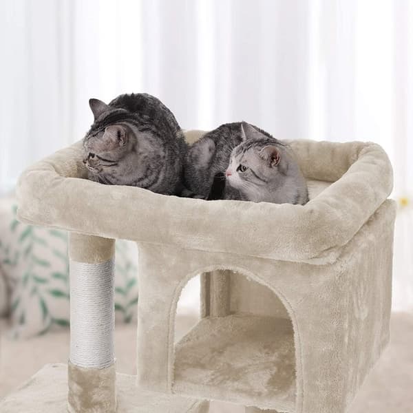 Rootz Skrapstolpe för katt - Kattträd - Beige - 60 x 40 x 84 cm