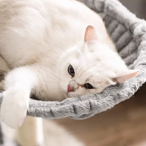 Rootz Cat Tree - Raaputuspylväs - Riippumatto - Kissaluola - 6 tasoa - Harmaa - Beige - 50 x 50 x 164 cm