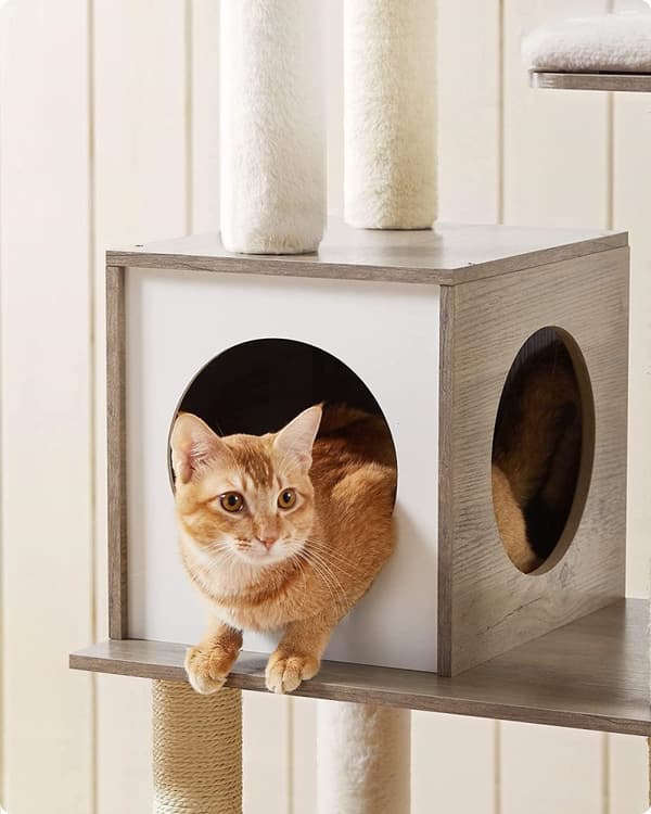 Rootz skrapstolpe - Katthus - Kattgrotta - Med leksaksboll - Kattträd - Med avtagbara kuddar - Vintagebrun - 58 x 40 x 165 cm (L x B x H)