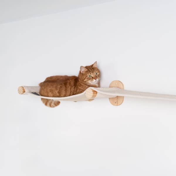 Klättervägg för Katter - Väggbro (Beige)