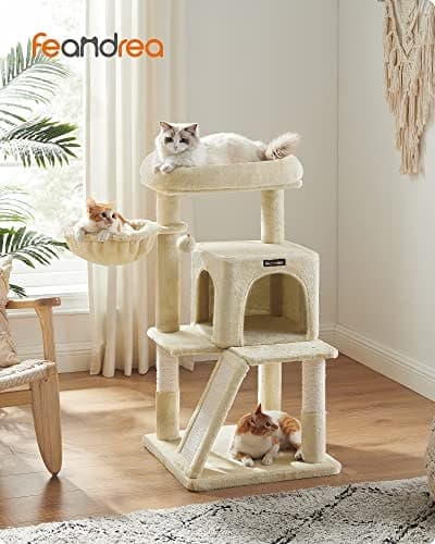 Feandrea kissanpuu, kissatorni, pidennetty ahven isoille kissoille, beige