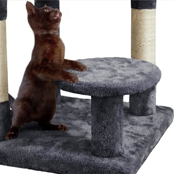 Fem-niveau kradsetræ for katte Grå 105 cm