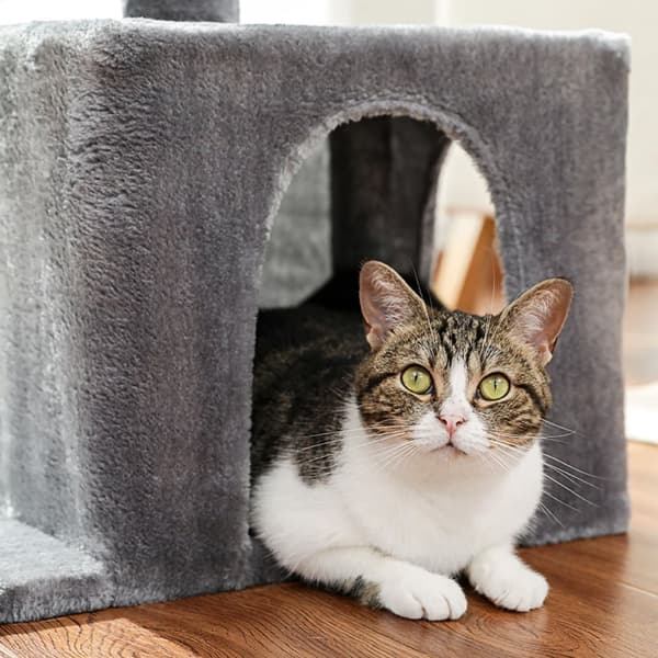 KAT KLATREPLADE GRÅ P70384