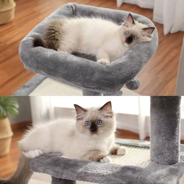 KAT KLATREPLADE GRÅ P70384