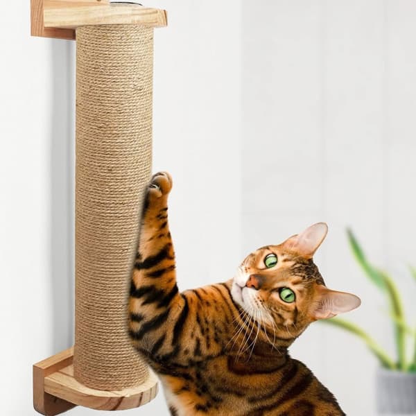 Vægmonteret kradsetræ for katte 332526