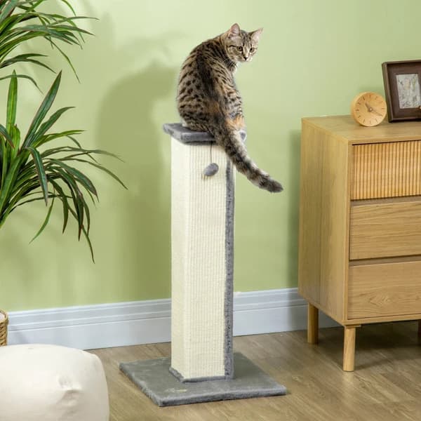 Rootz Cat kradsestolpe med legetøjskugle - Katteskraber - Plys - Sisal - Hængebold - Cremefarvet + Grå - 41cm x 41cm x 81cm