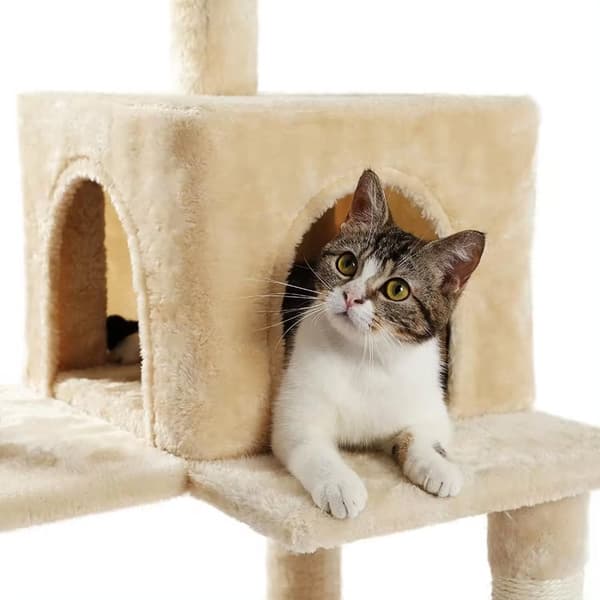 Raapimispuu kissoille Beige P70371