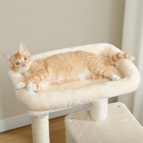 Raapimispuu kissoille Beige P70371