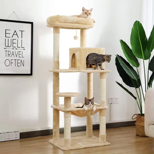 Raapimispuu kissoille Beige P70371