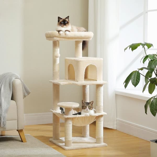 Raapimispuu kissoille Beige P70371