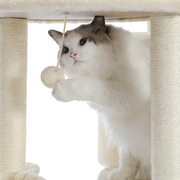 Kradsetræ for katte Beige P70373